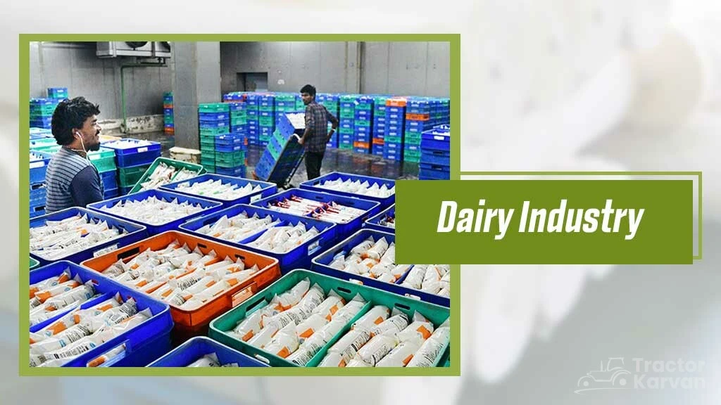 Top Agro-Based Industries - Dairy Industry
