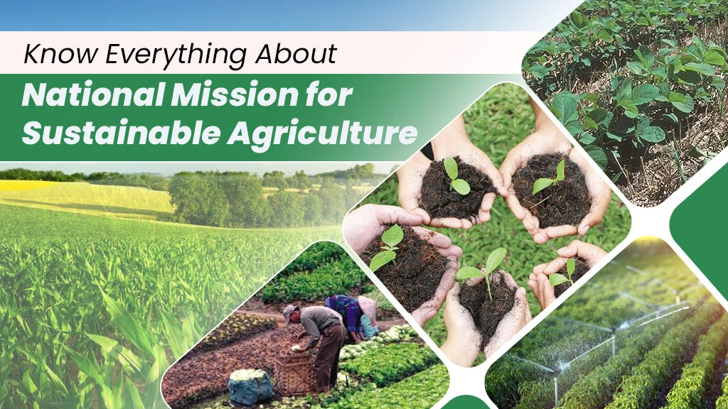 Know Everything About National Mission for Sustainable Agriculture