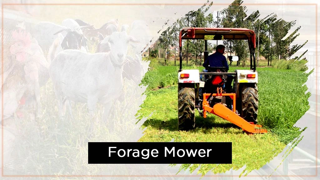 Best Implements for Livestock Sector - Forage Mower