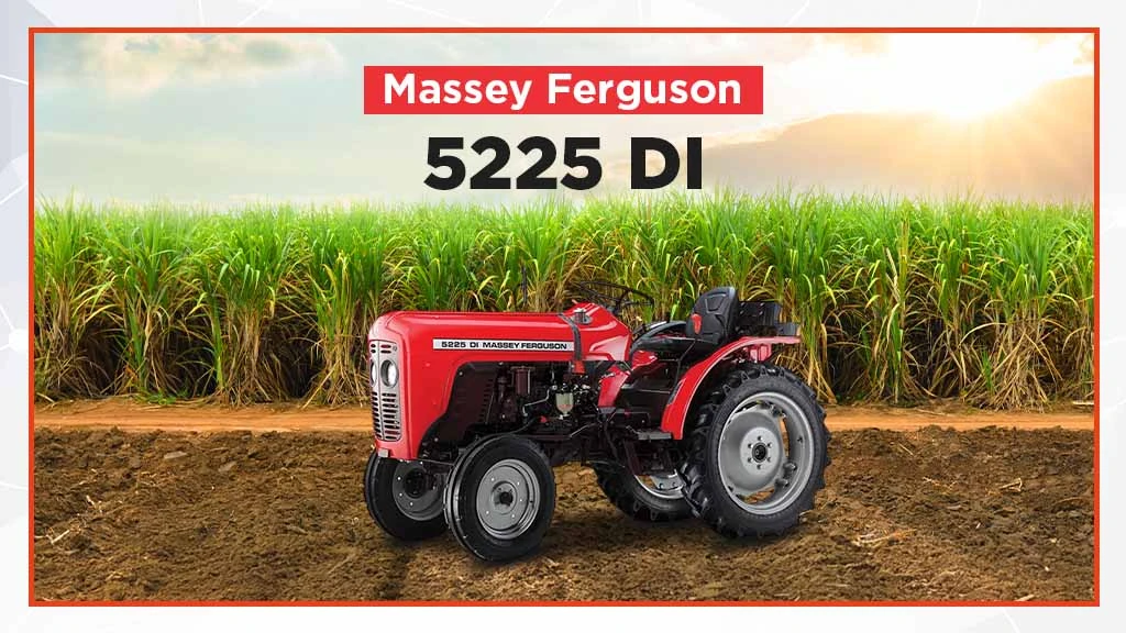 Best MF Mini Tractors - Massey Ferguson 5225 DI