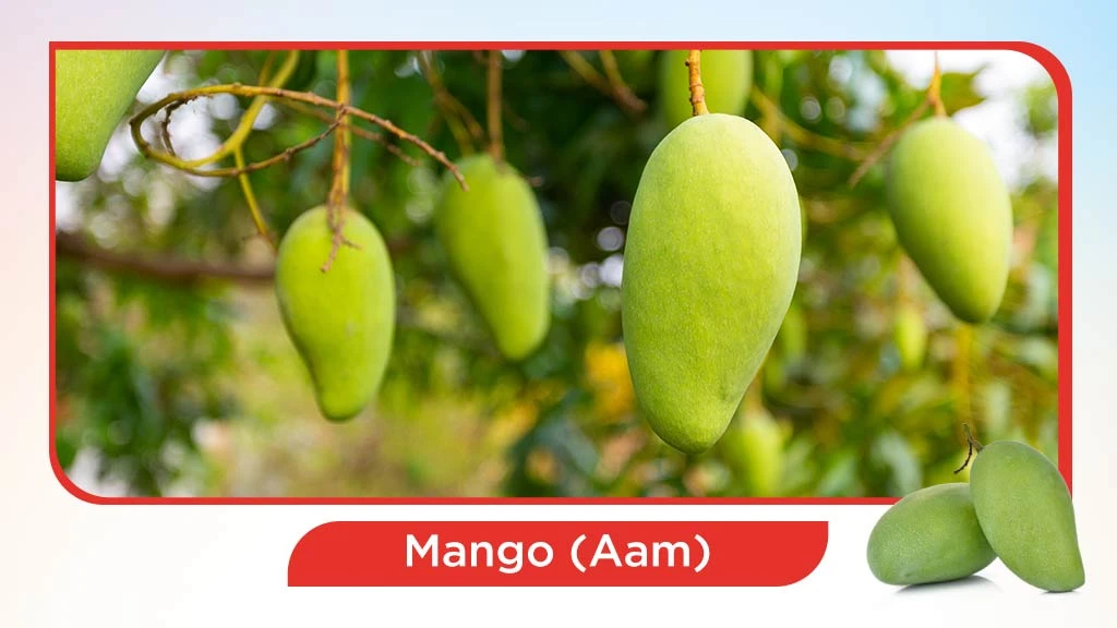 Top 10 summer fruits in India - Mango