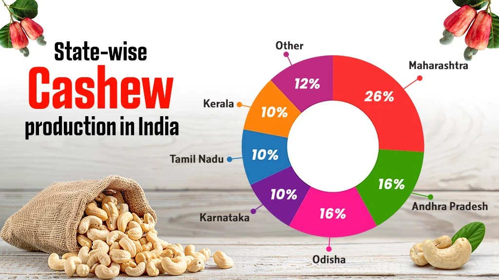 What is Cashew Production in India