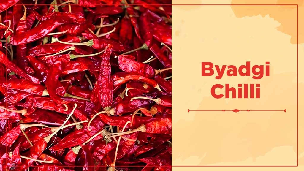 Chilli Crop Cultivation in India - Byadgi Chilli 