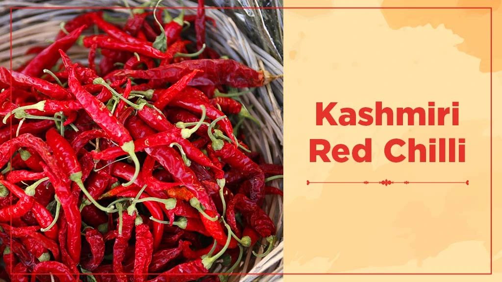 Chilli Crop Cultivation in India - Kashmiri Red Chilli