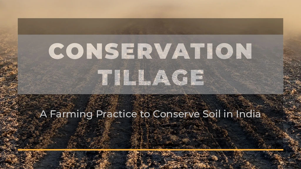 Conservation Tillage: A Farming Practice to Conserve Soil in India