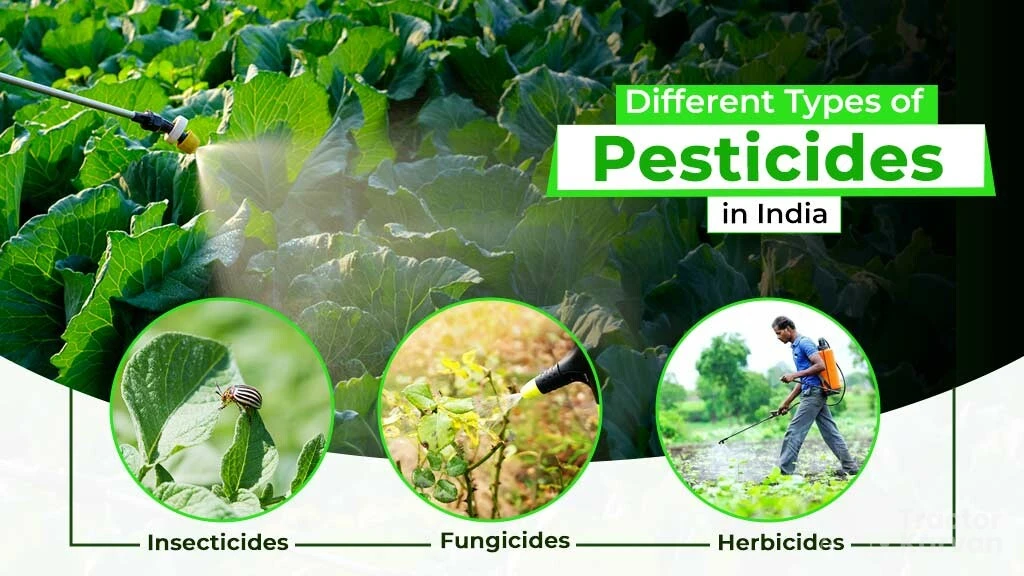Different Types of Pesticides Used in India: Importance and Benefits