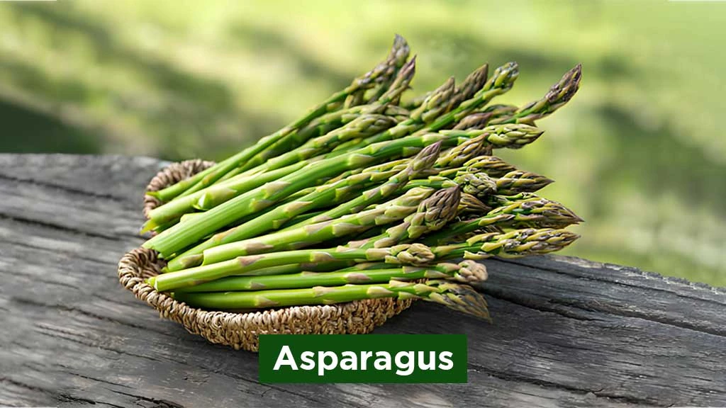 Exotic Vegetables in India - Asparagus