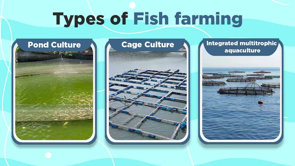 Types of Fish Farming