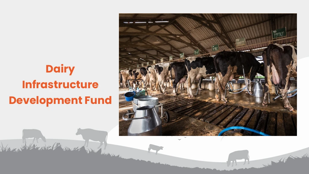 Dairy Development Schemes - Dairy Infrastructure Development Fund
