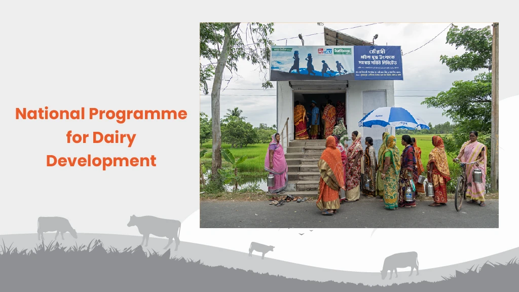 Dairy Development Schemes - National Programme for Dairy Development