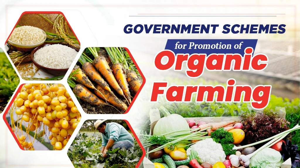 Top Government Schemes for Promotion of Organic Farming in India