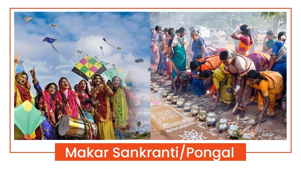 harvest festivals of India- Makar Sankranti/Pongal