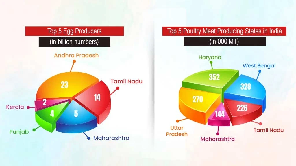 Top Poultry Farming States in India