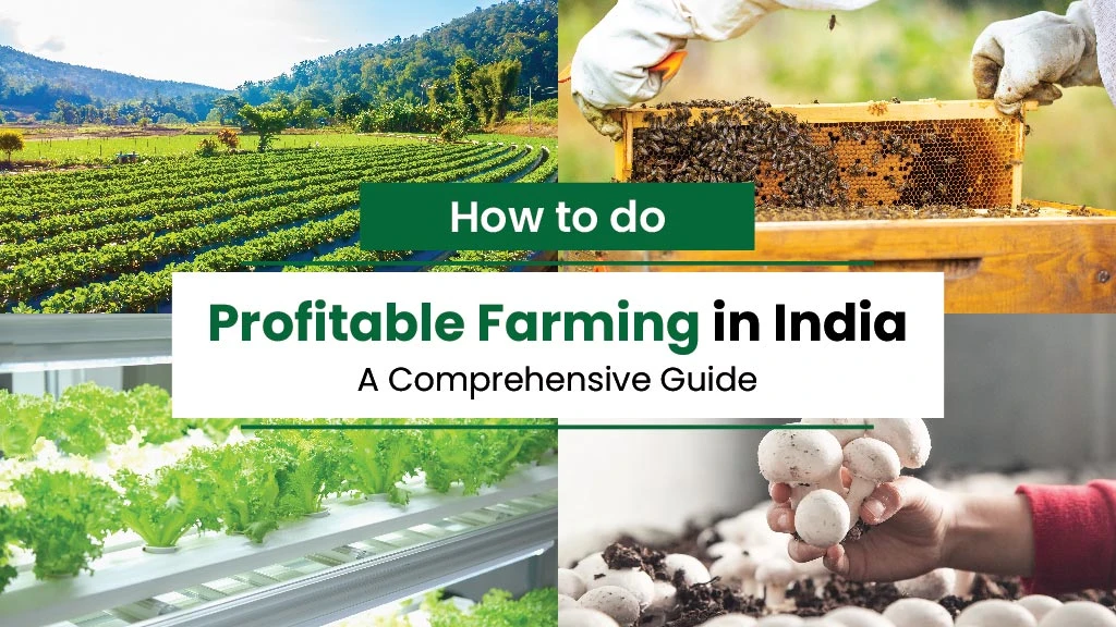 How to Do Profitable Farming in India: A Comprehensive Guide