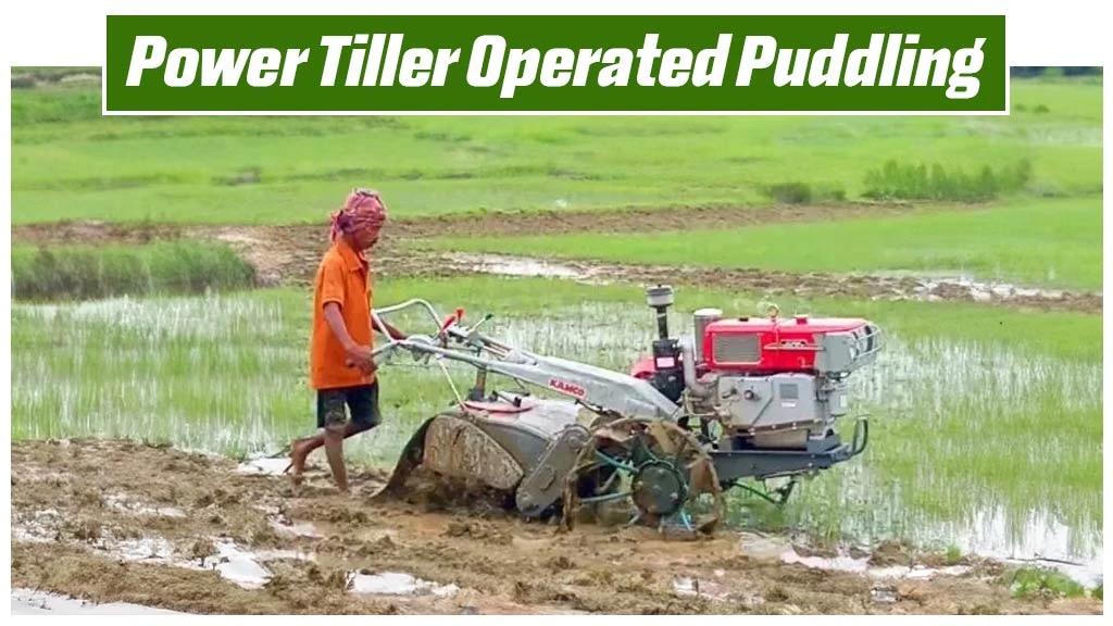 Methods Of Puddling - Power Tiller Operated Puddling