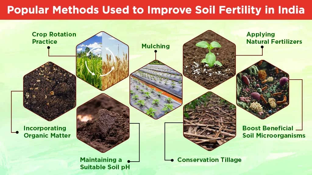 Methods to Improve Soil Fertility
