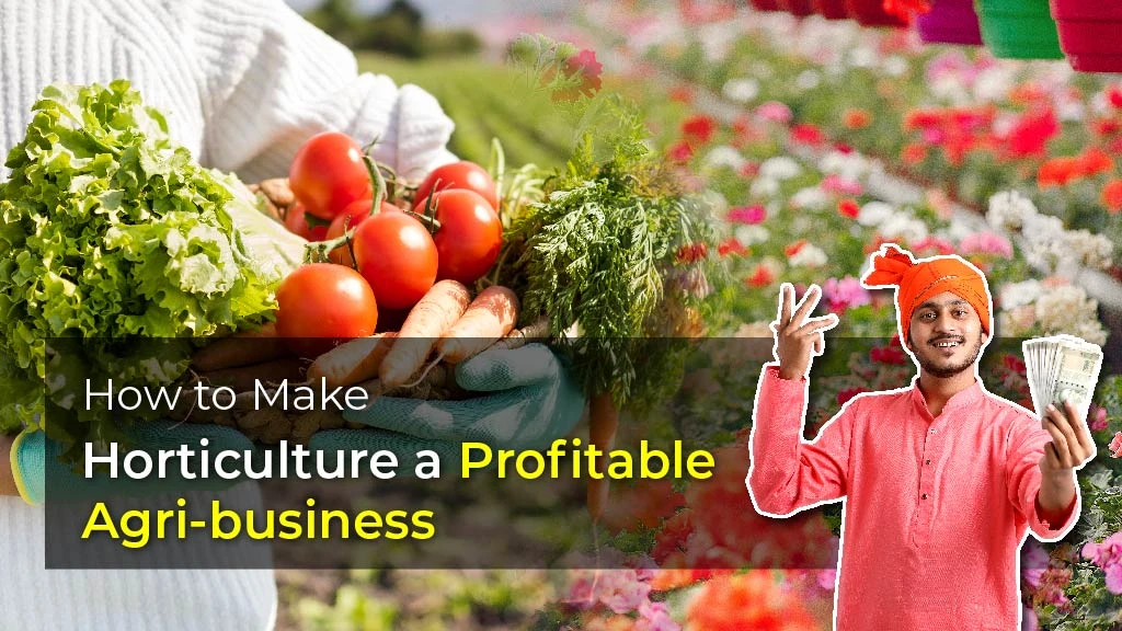 How to Make Horticulture a Profitable Agri-Business: Top 5 Points