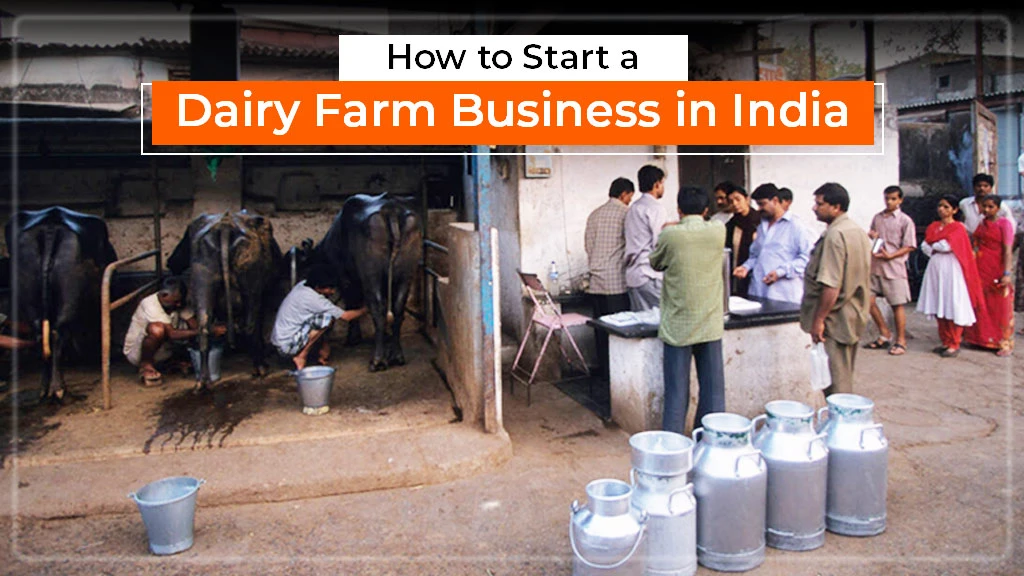 How to Start a Dairy Farm Business in India: A Beginners Guide