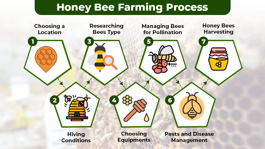 How to Start Honey Bee Farm in India or Beekeeing in India