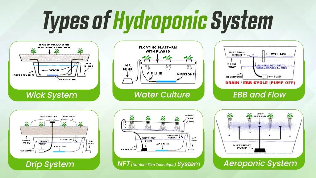 types of hydroponics