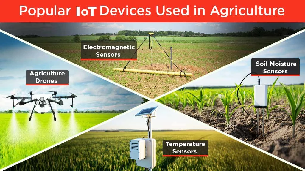 Popular IoT Devices Used in Agriculture