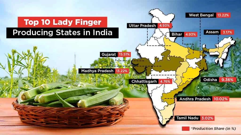 Top 10 Lady Finger Producing States in India