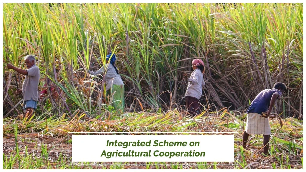 Krishonnati Yojana - Integrated Scheme on Agricultural Cooperation