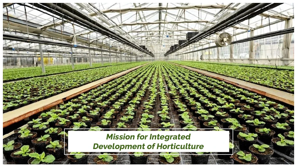 Krishonnati Yojana - Mission for Integrated Development of Horticulture