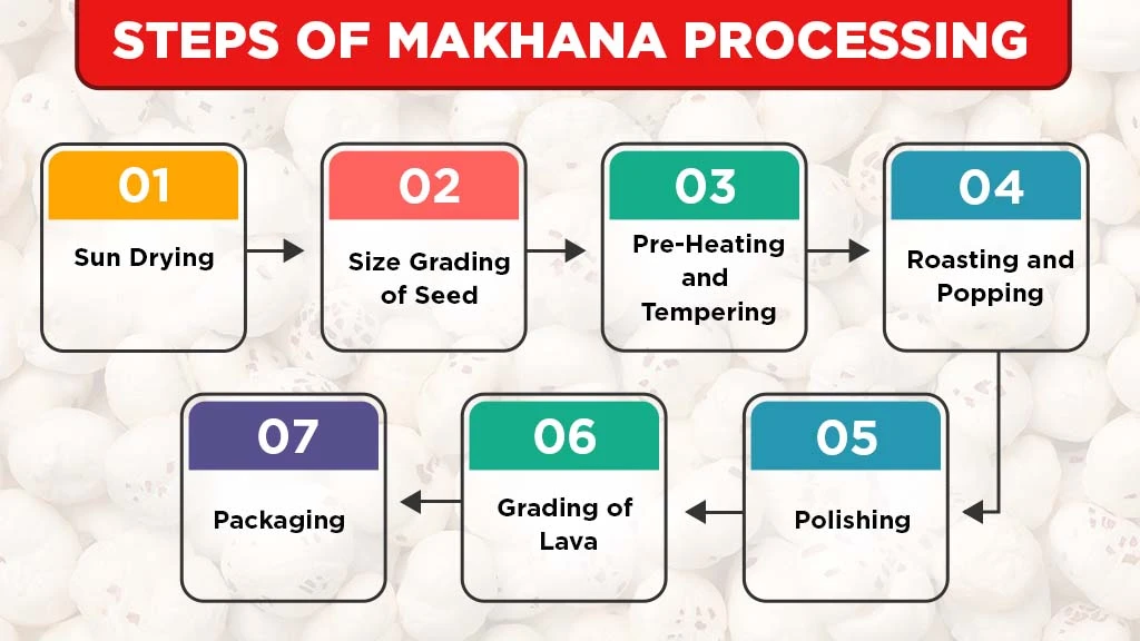 steps of makhana processing