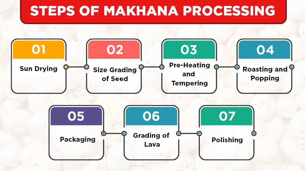 steps of makhana processing