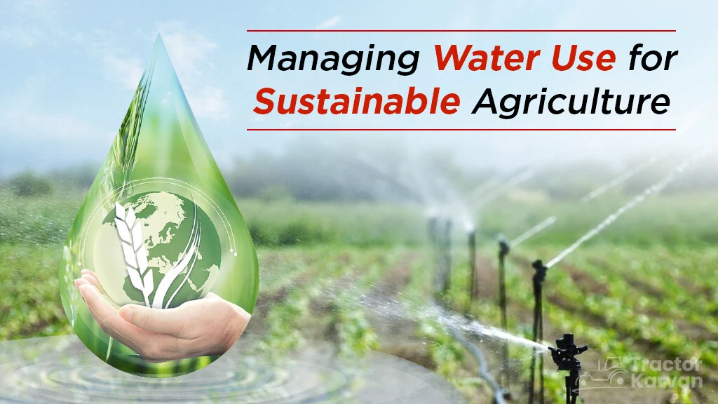 Managing Water Use for Sustainable Agriculture in India
