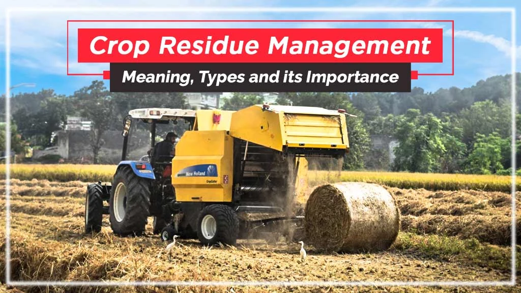 Crop Residue Management: Meaning, Types and its Importance in India