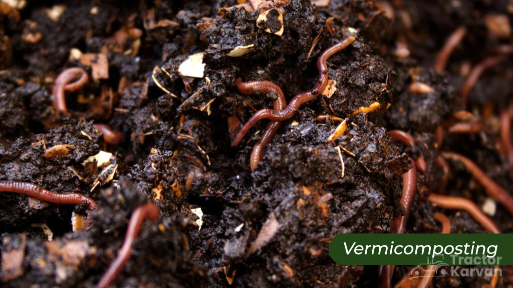 Top Composting Methods - Vermicomposting