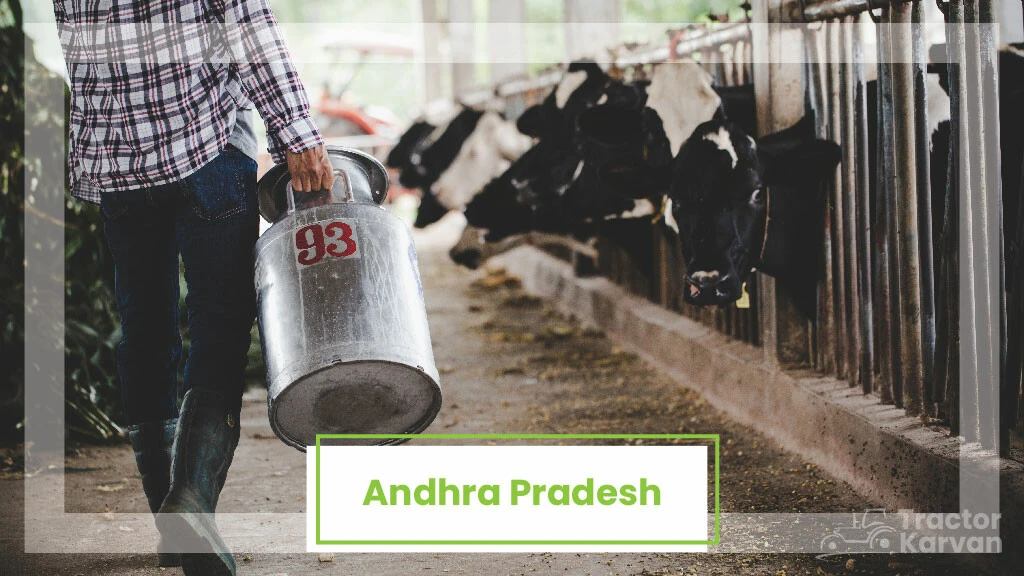 Top Milk Producing States - Andhra Pradesh