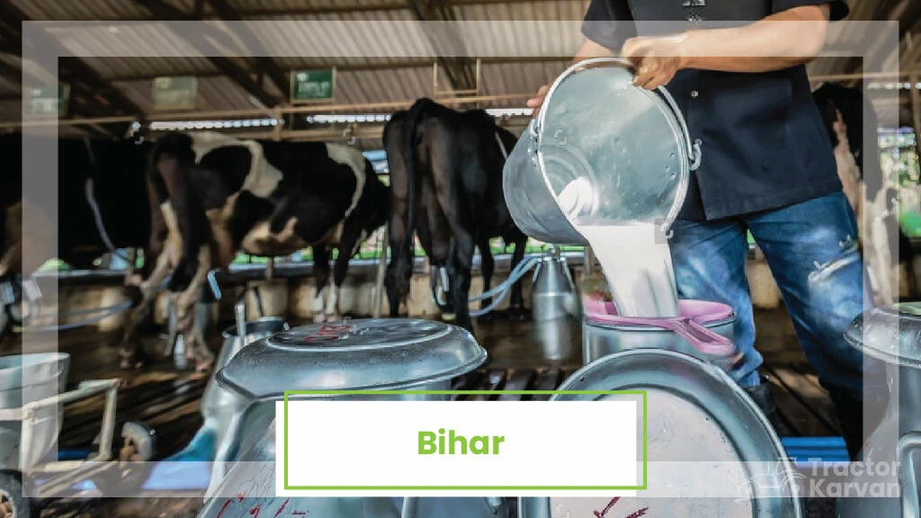 Top Milk Producing States - Bihar
