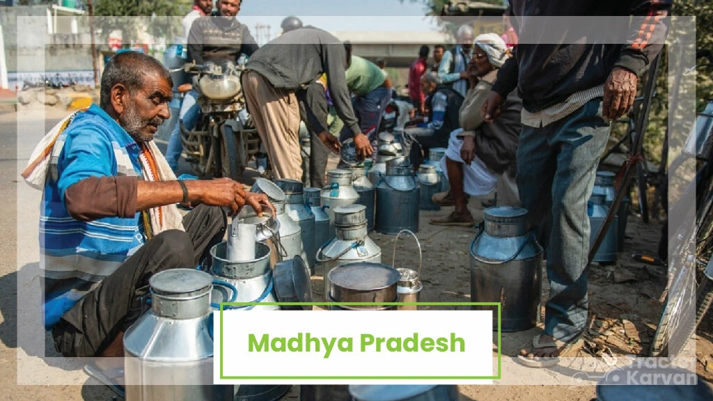 Top Milk Producing States - Madhya Pradesh