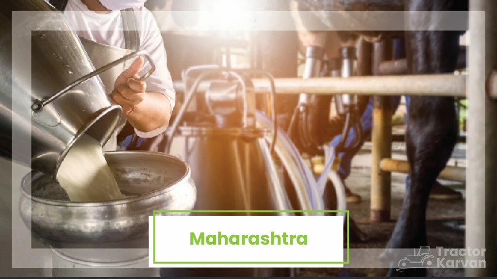 Top Milk Producing States - Maharashtra