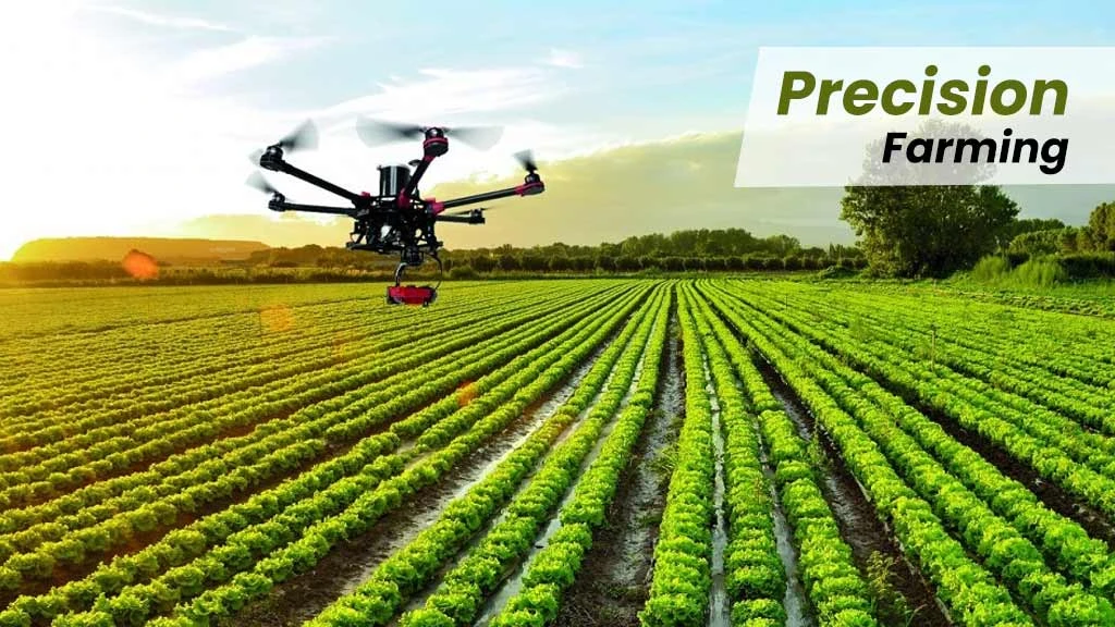Precision Farming