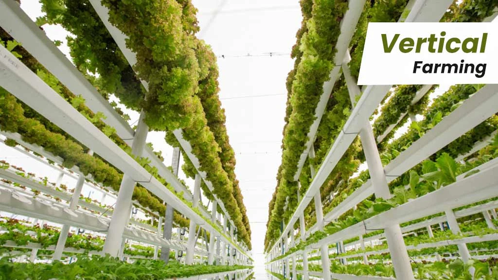 Vertical Farming