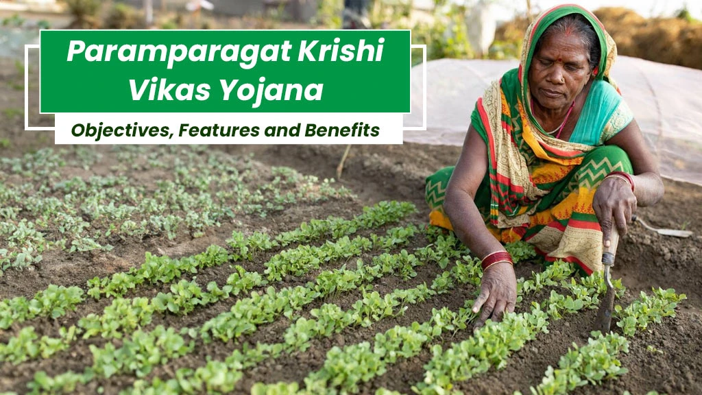 Paramparagat Krishi Vikas Yojana: Objectives, Features and Benefits