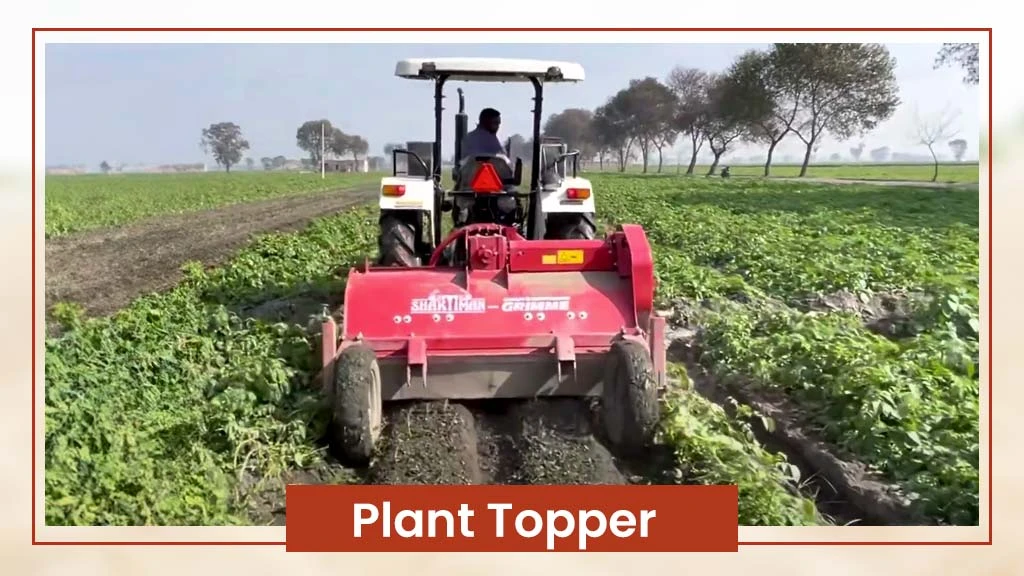 Implements For Potato Cultivation - Plant Topper