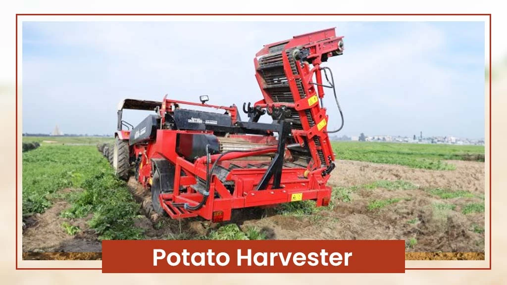 Implements For Potato Cultivation - Potato Harvester