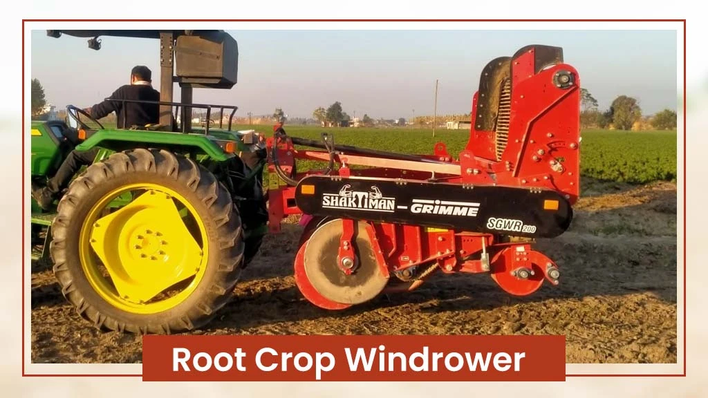 Implements For Potato Cultivation - Root Crop Windrower