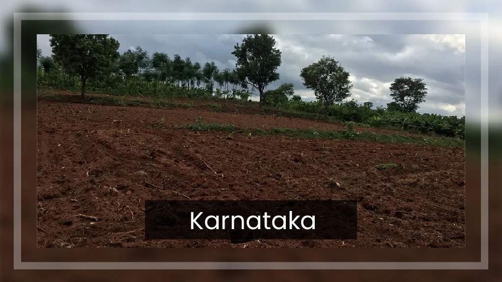 Top Ragi Producing States - Karnataka