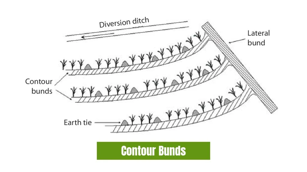 Types of Rainwater Harvesting System - Contour Bunds 