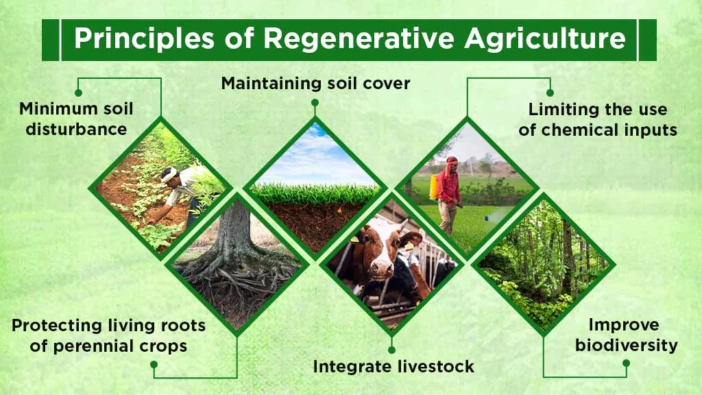 Principles of Regenerative Agriculture
