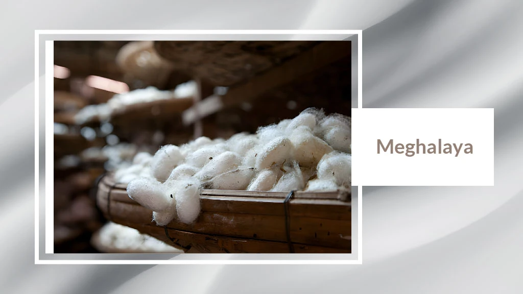 Top Silk Producing States in India - Meghalaya