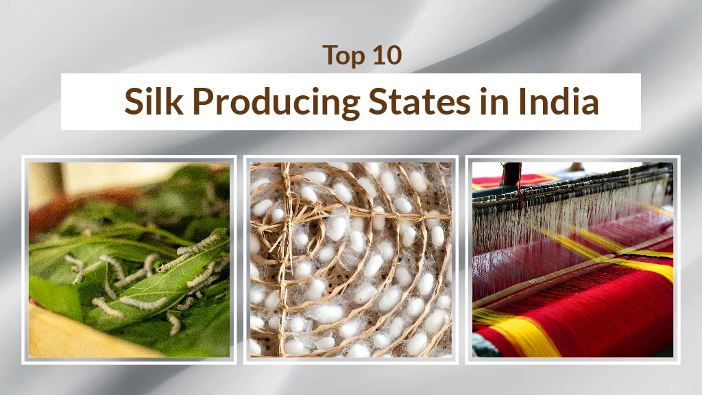 Silk Production in India | List of Top 10 Silk Producing States