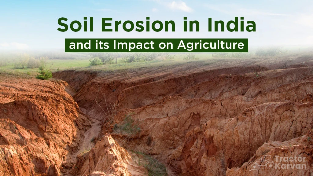 Soil Erosion in India and its Impact on Agriculture