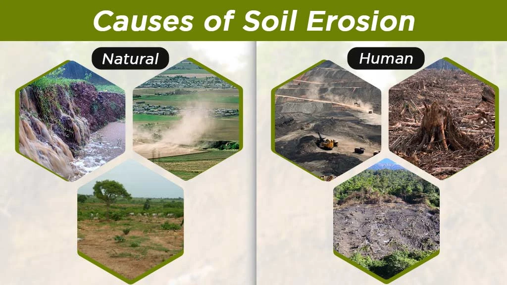 Causes Of Soil Erosion - Natural And Human  